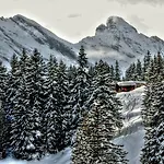 Alpina Hotel