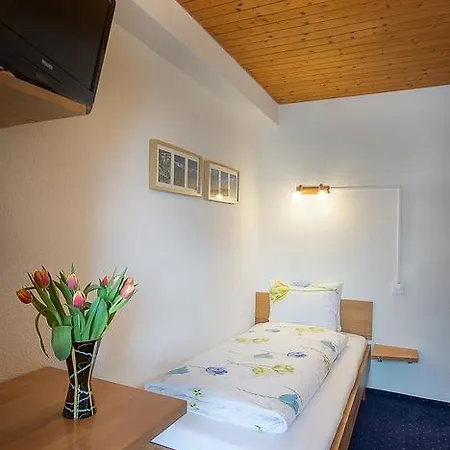 Hotell Alpina Mürren