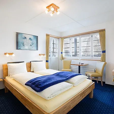 Hotel Alpina 2*