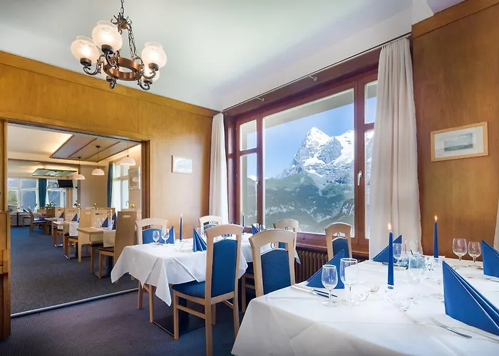 Hotel Alpina Murren