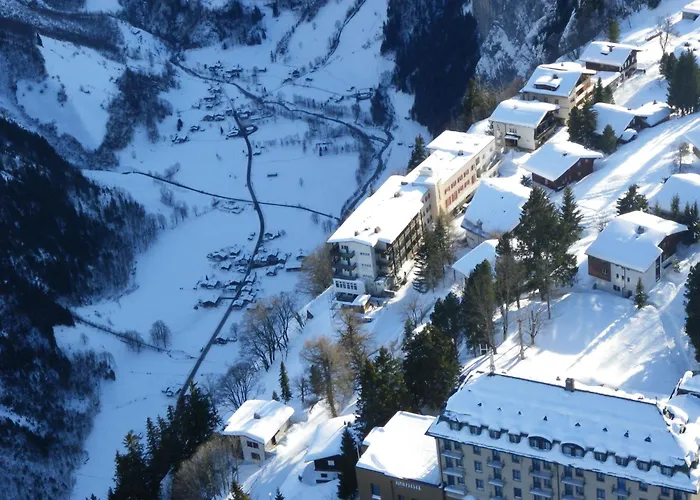 Hotel Alpina