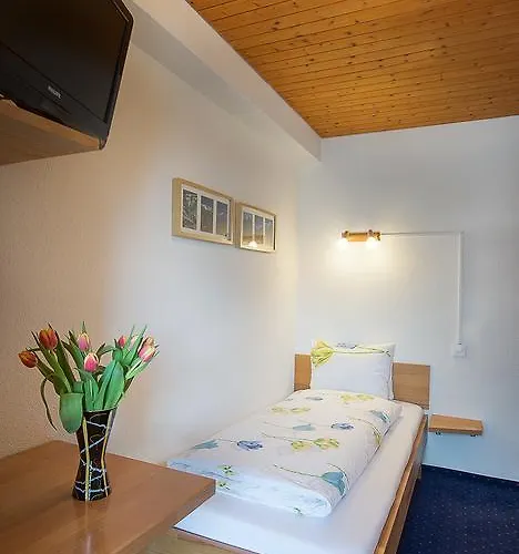 Hotel Alpina Mürren